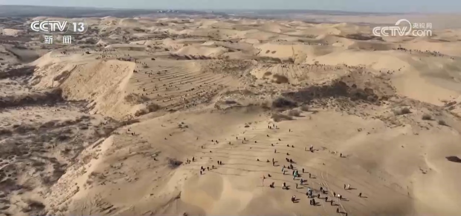 “十四五”我国林草种苗工作取得新进展 “三北”工程完成建设任务超2亿亩