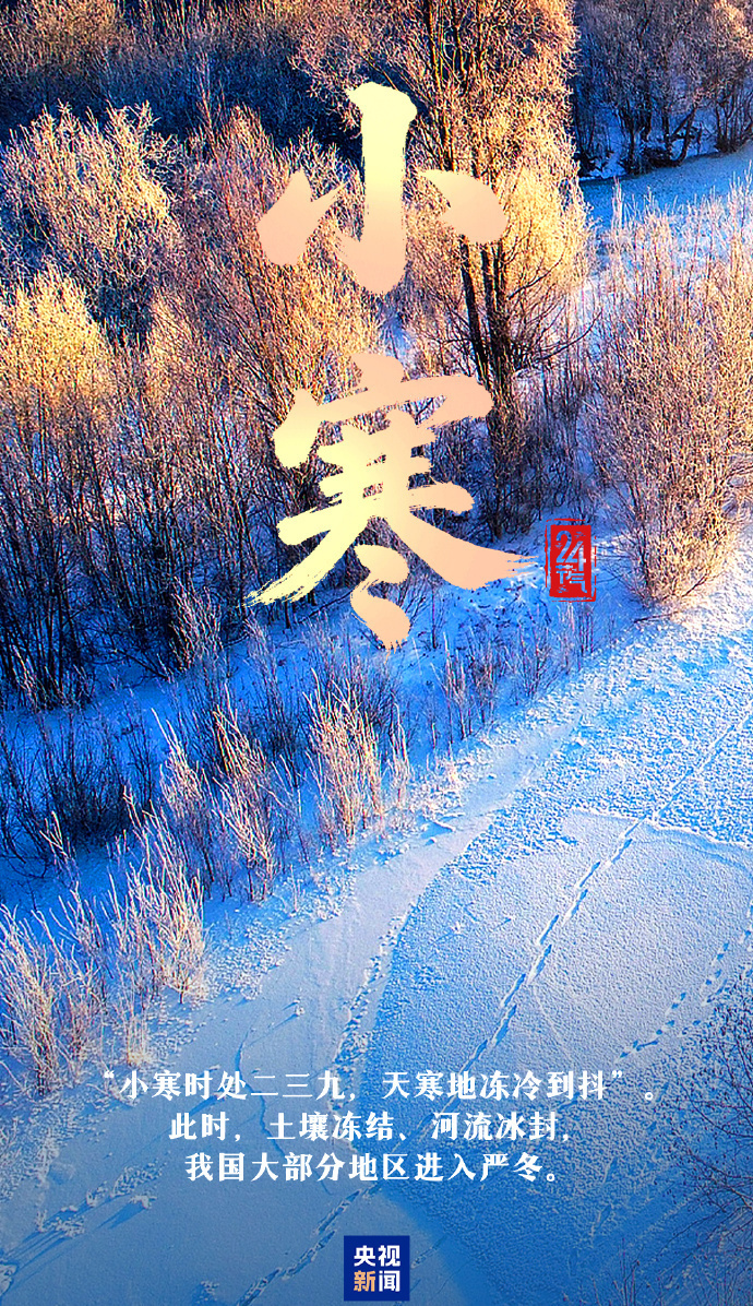 今日小寒 愿你心向暖阳 静待春归