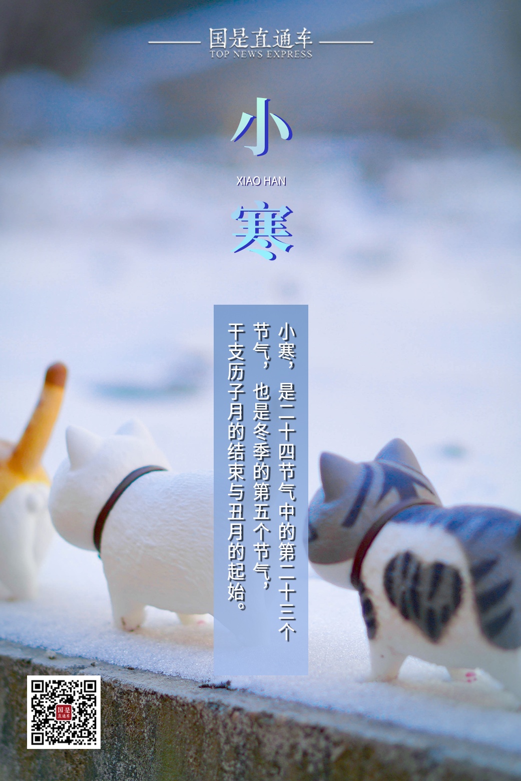 今日小寒！梅花开小寒，冰雪荐清香