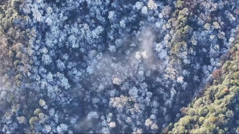 江西：多地高山出现雾凇 游客体验南方冰雪秘境