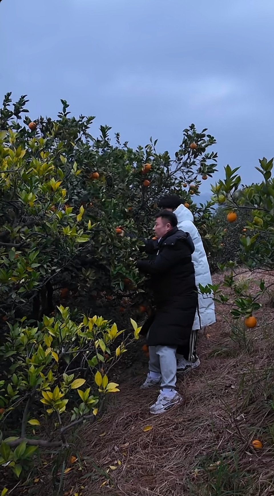 湘超改变的小城永州：你有多少想不到