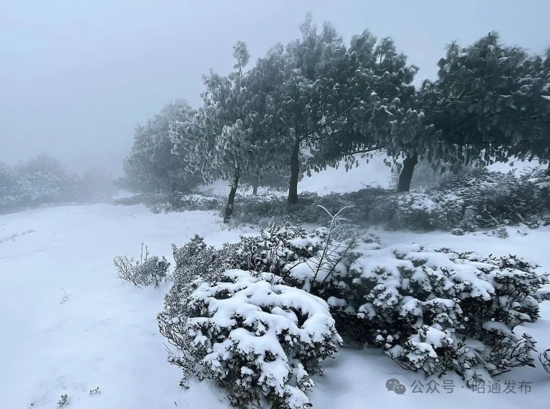 云南多地迎来2026年首场降雪! 云南多地迎来2026年首场降雪!