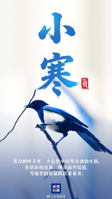 转起迎接！2026第1个节气来了