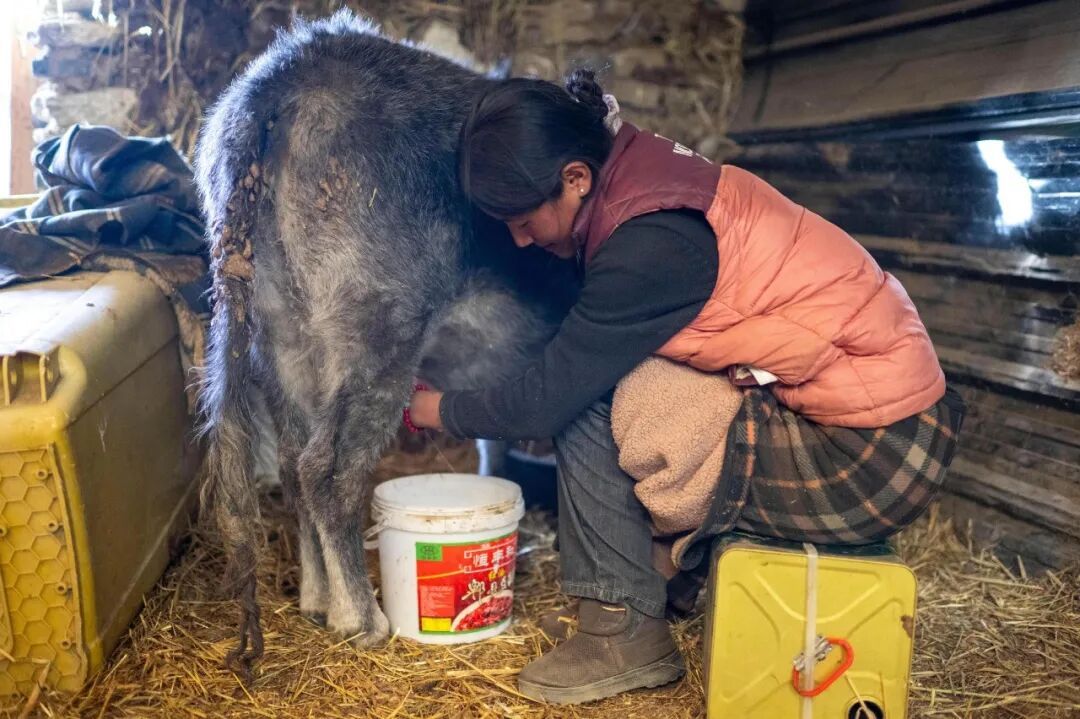 “我们家8口人,分了210平方米。” “我们家8口人,分了210平方米。”