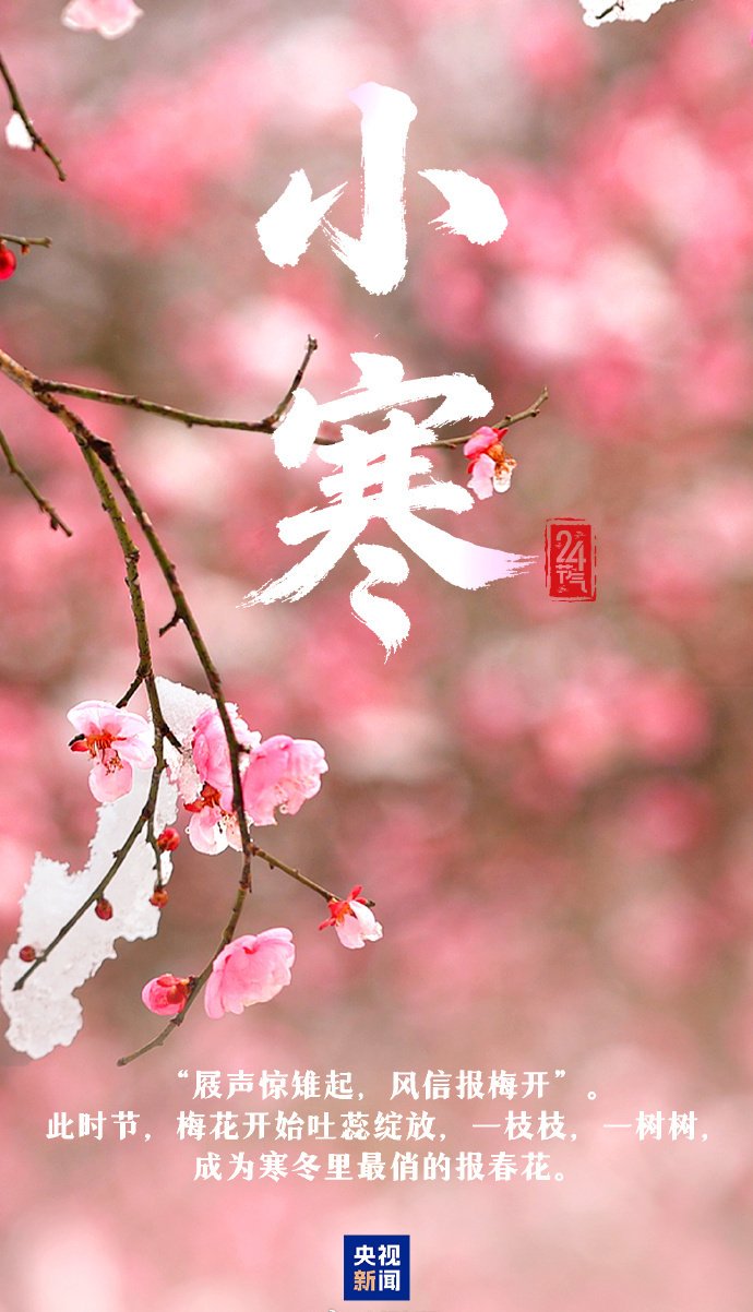 今日小寒 愿你心向暖阳 静待春归