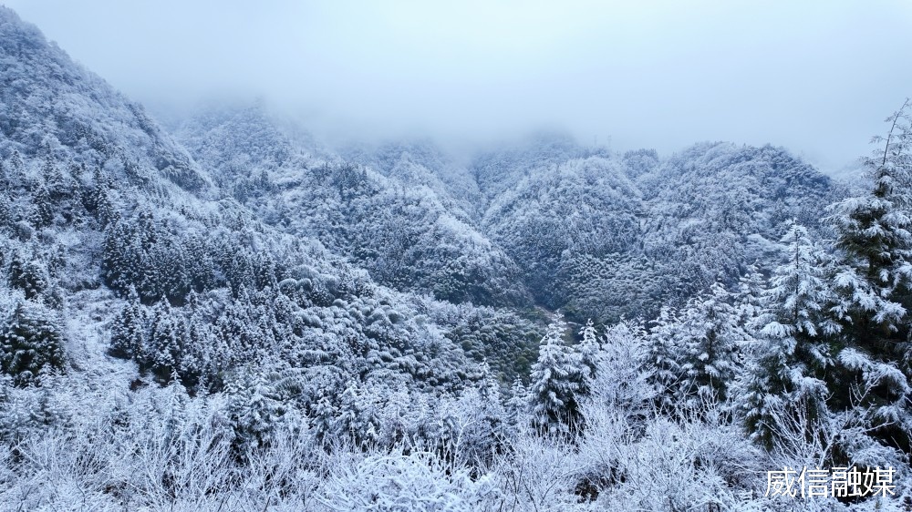 云南多地迎来2026年首场降雪! 云南多地迎来2026年首场降雪!