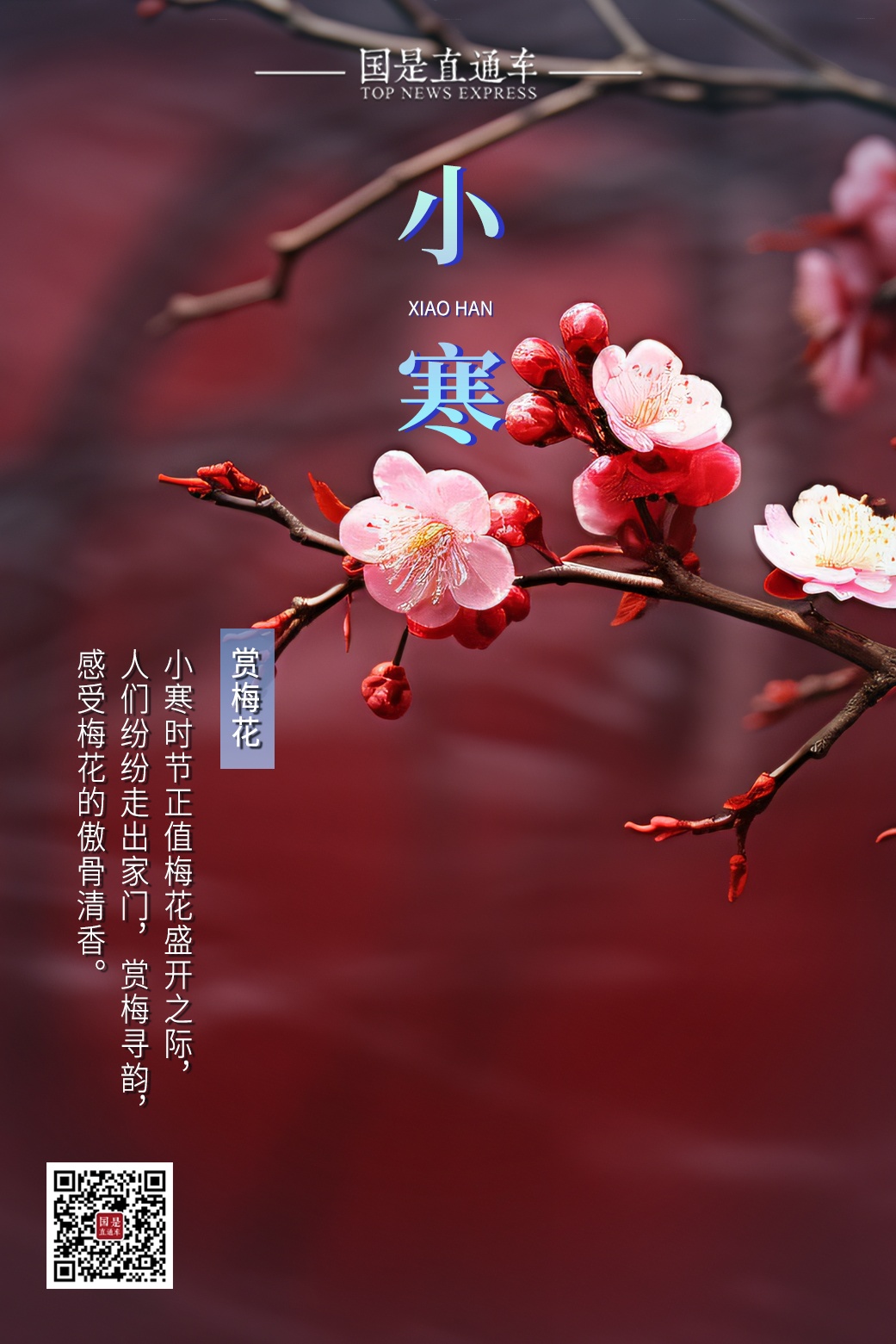 今日小寒！梅花开小寒，冰雪荐清香