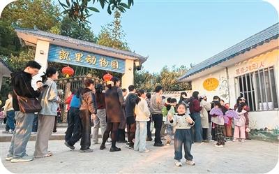 一天来不了几位游客的凯里动物园，怎么突然火了？