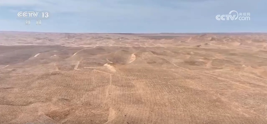 “十四五”我国林草种苗工作取得新进展 “三北”工程完成建设任务超2亿亩