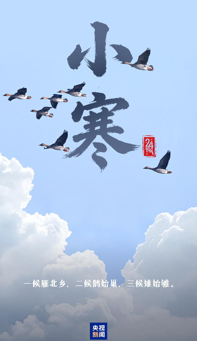 今日小寒 愿你心向暖阳 静待春归