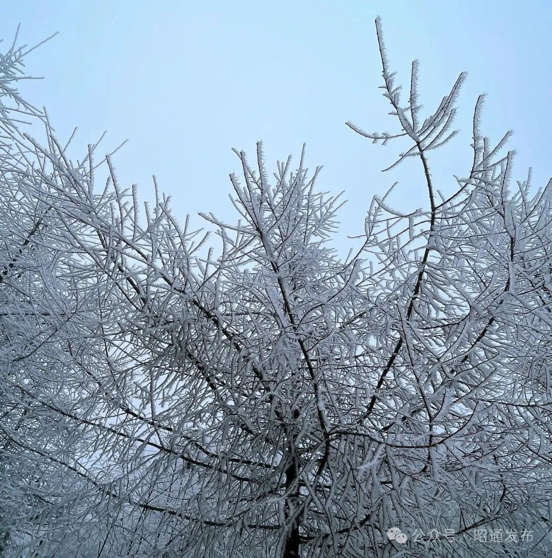 云南多地迎来2026年首场降雪! 云南多地迎来2026年首场降雪!