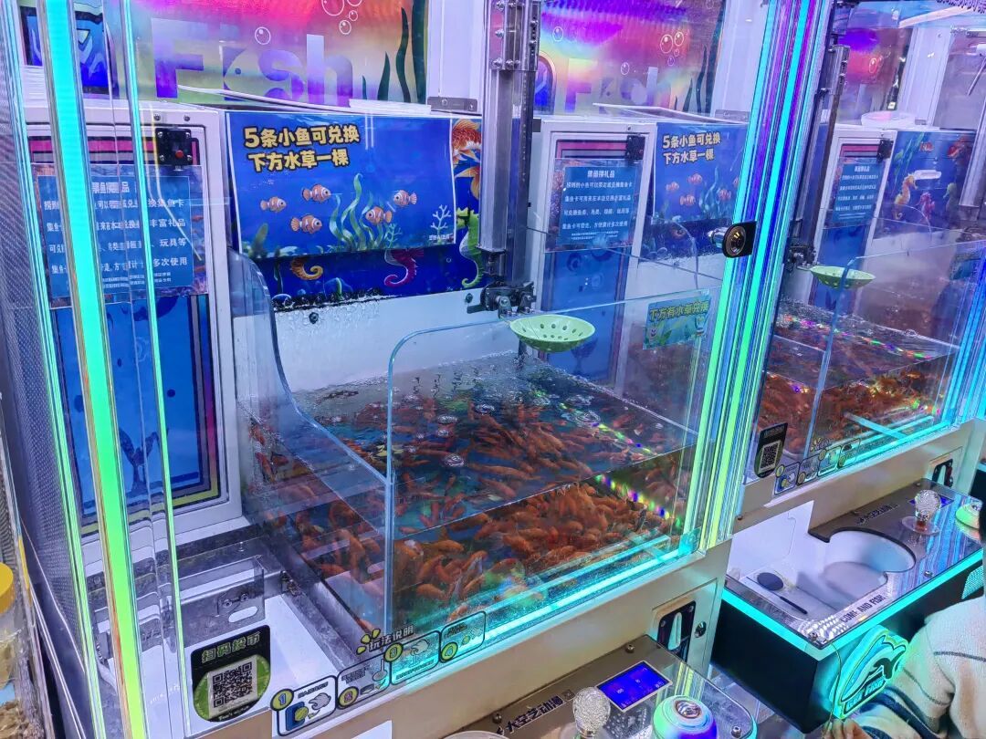 上海一商场出现“活体娃娃机”？商家回应