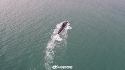 帅！潜艇大片怎么都看不够