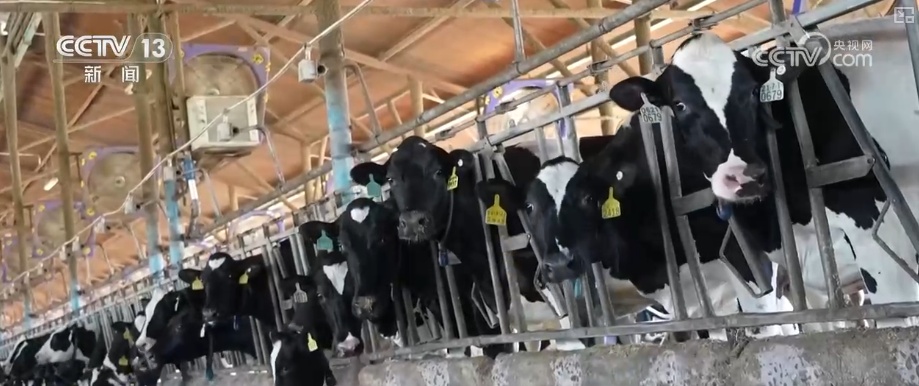 政策“精准滴灌”服务乡村产业振兴 “沉睡资产”变成“活资金”助农增收