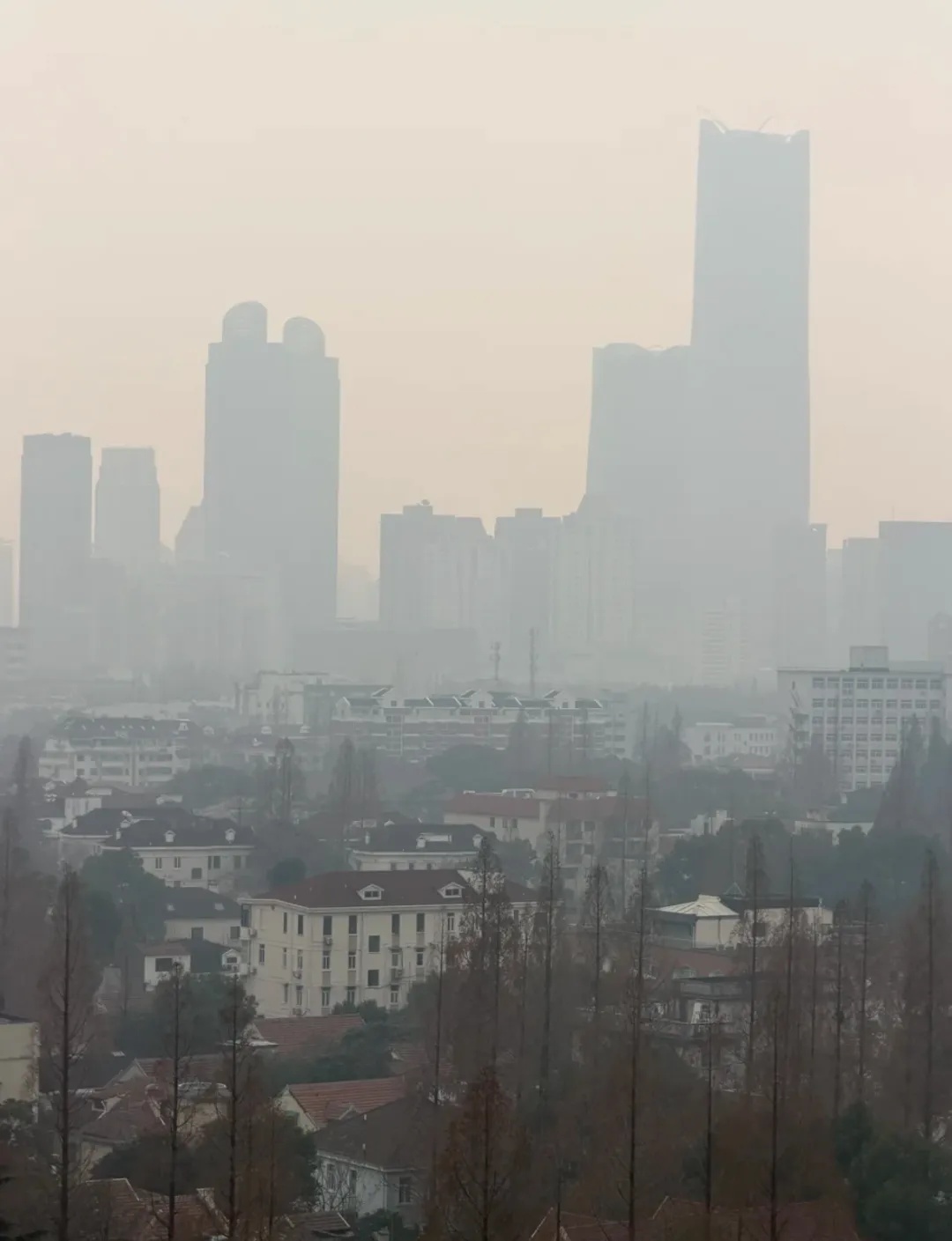 正在影响上海！别开窗，减少外出！专家：还有一波上升过程，周六才能彻底结束
