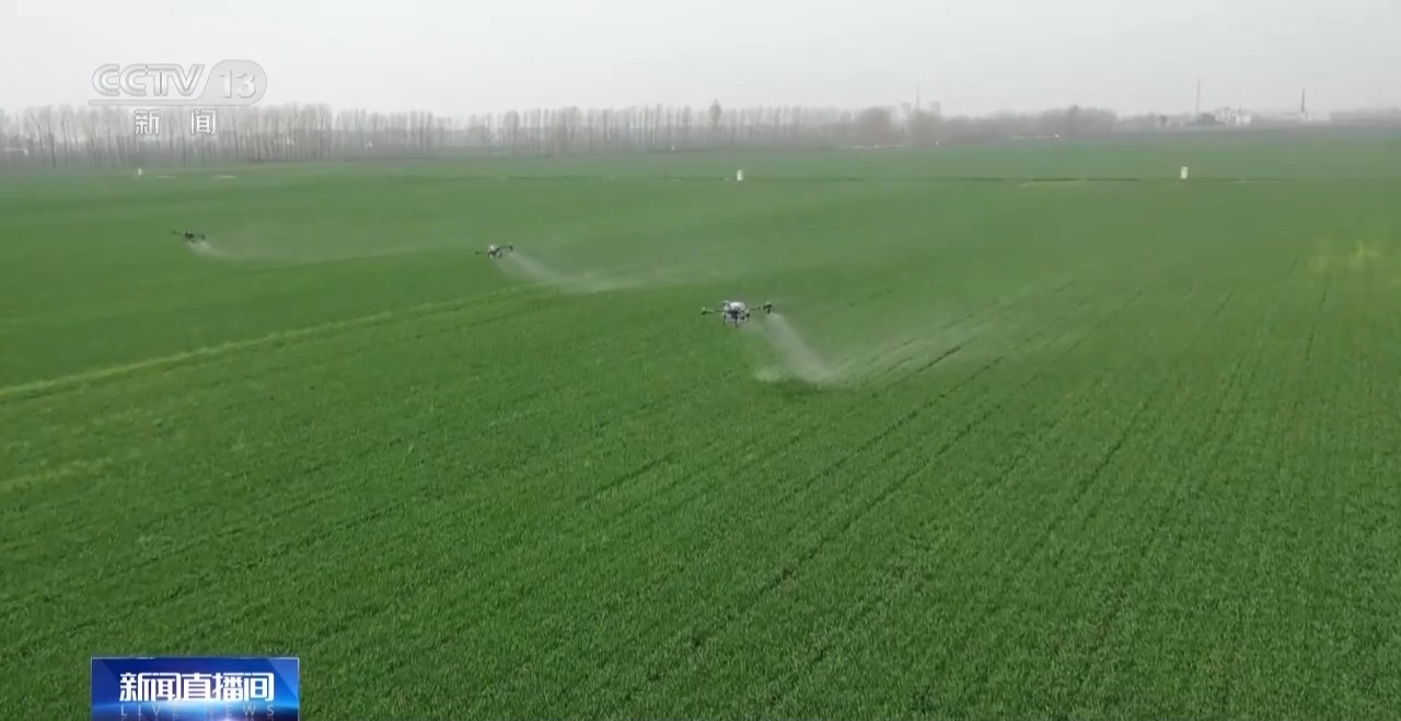 居国际中上水平 去年我国三大粮食作物化肥利用率达43.3%