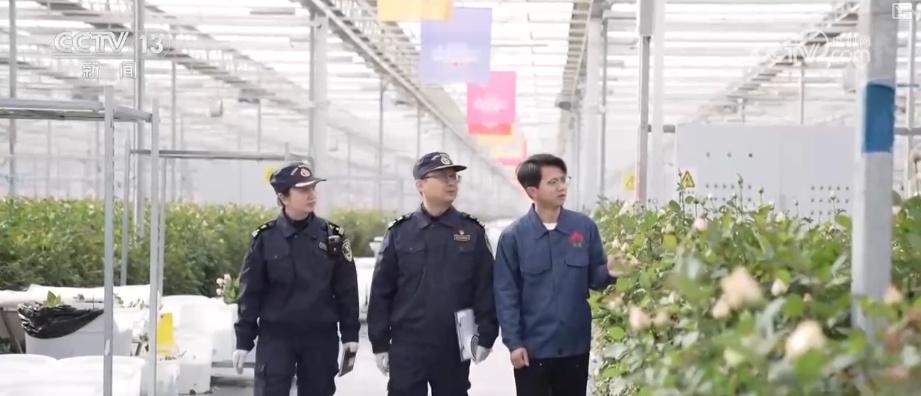 “新意+暖意”催热“年经济”新热力 “新花样”频出点燃消费“热引擎”