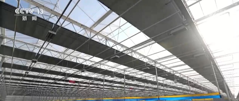 “新意+暖意”催热“年经济”新热力 “新花样”频出点燃消费“热引擎”