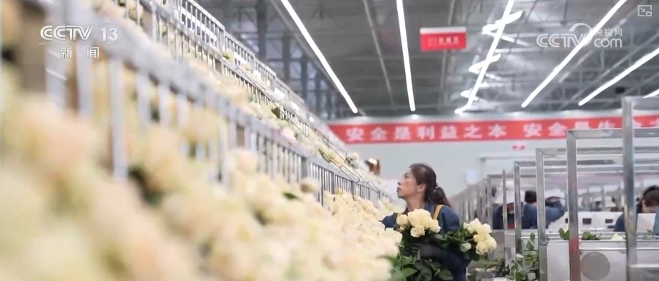 “新意+暖意”催热“年经济”新热力 “新花样”频出点燃消费“热引擎”