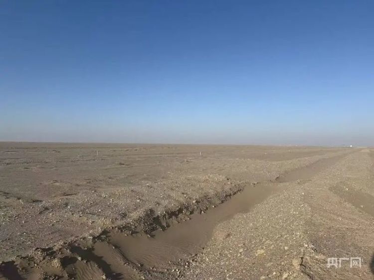 一枚200元假公章敛财4000万！起底430亿“国家级项目”背后骗局