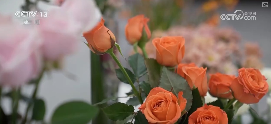 “新意+暖意”催热“年经济”新热力 “新花样”频出点燃消费“热引擎”