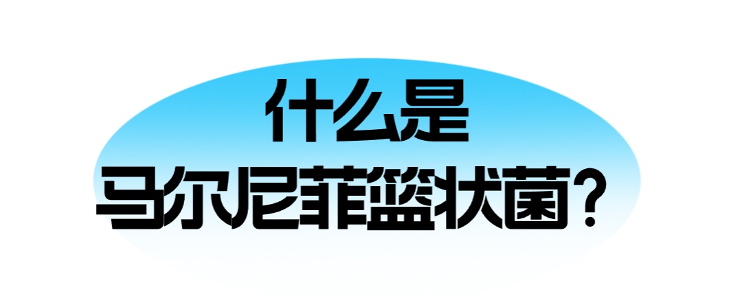 吃竹鼠进补,男子竟惹上"致命"真菌…… 吃竹鼠进补,男子竟惹上"致命"真菌……