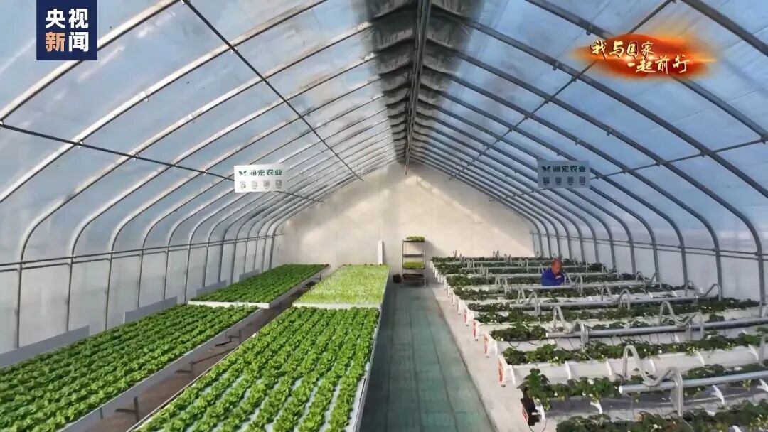 种菜吗？这不就是梦想中的“开心农场”？