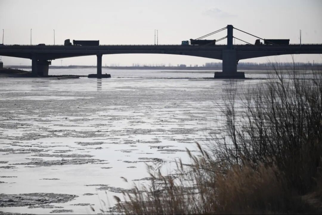 看！黄河宁夏惠农段变身“冰河世纪”&nbsp;