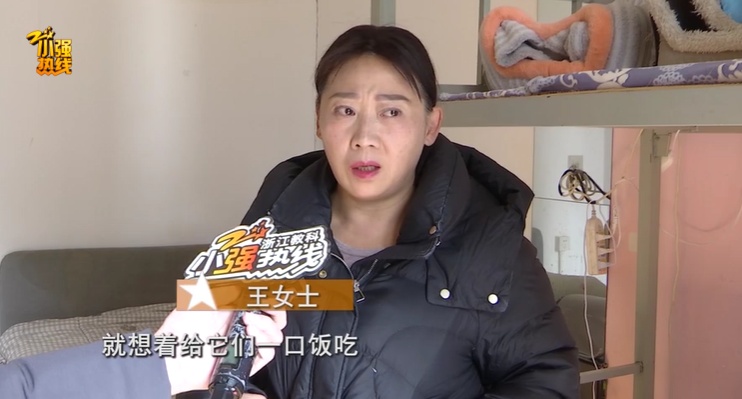 紧急求助！杭州女子救下6只流浪猫，母亲却突患重病，背后故事让人感动…