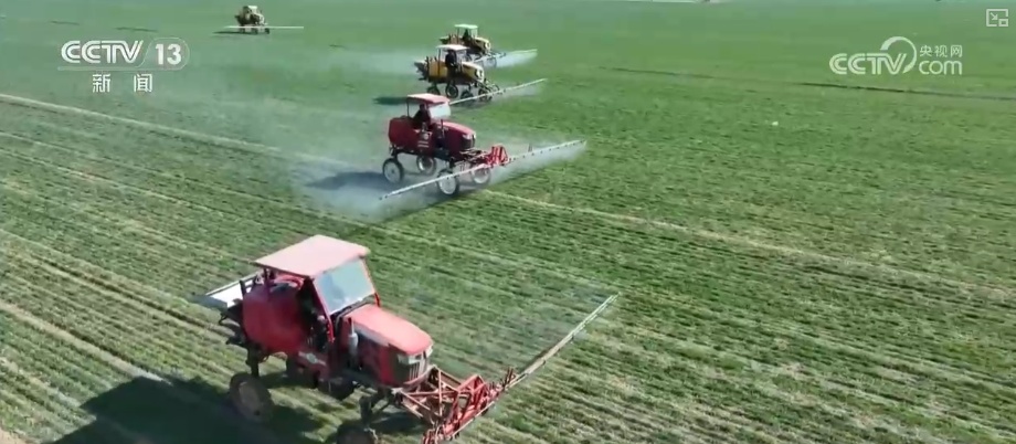 我国科学施肥水平提升 肥水管理向精准化、绿色化、专业化全面升级