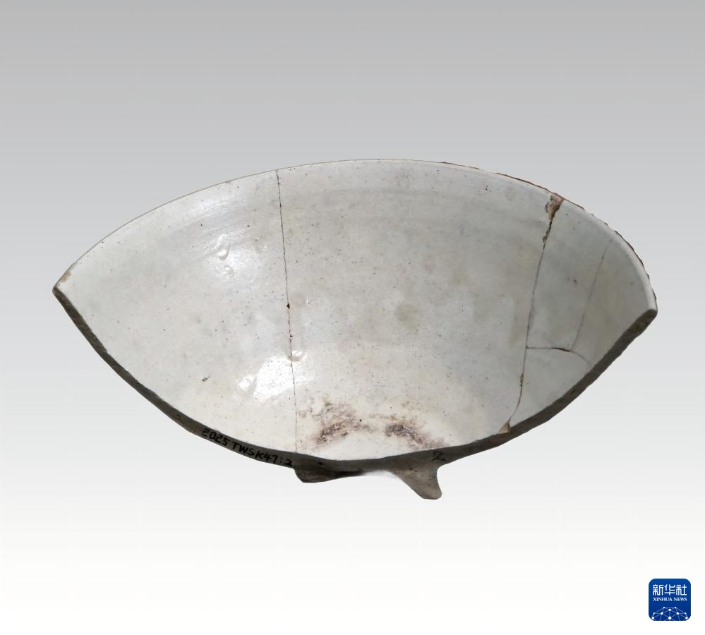 天津十四仓遗址首次发现元代环濠遗迹