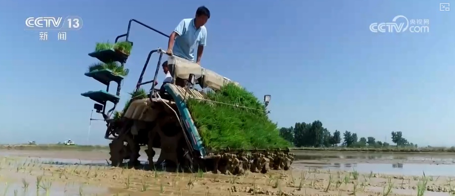 我国科学施肥水平提升 肥水管理向精准化、绿色化、专业化全面升级