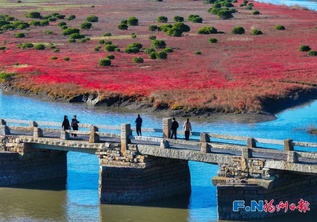 来打卡！福州惊现“红海”奇观→