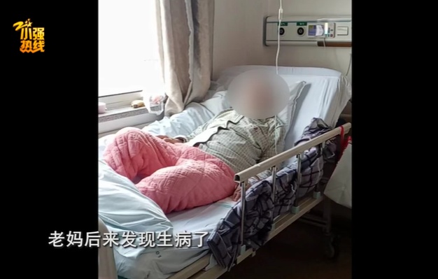 紧急求助！杭州女子救下6只流浪猫，母亲却突患重病，背后故事让人感动…