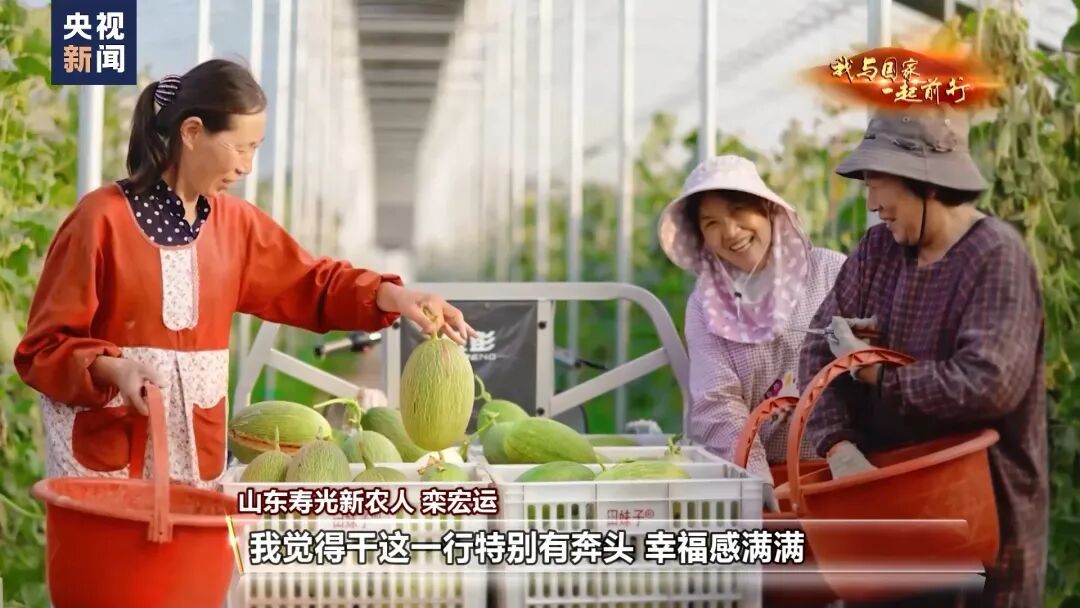 种菜吗？这不就是梦想中的“开心农场”？