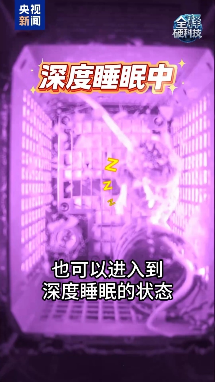 零重力起居 没有睡袋的小鼠航天员这样睡觉→