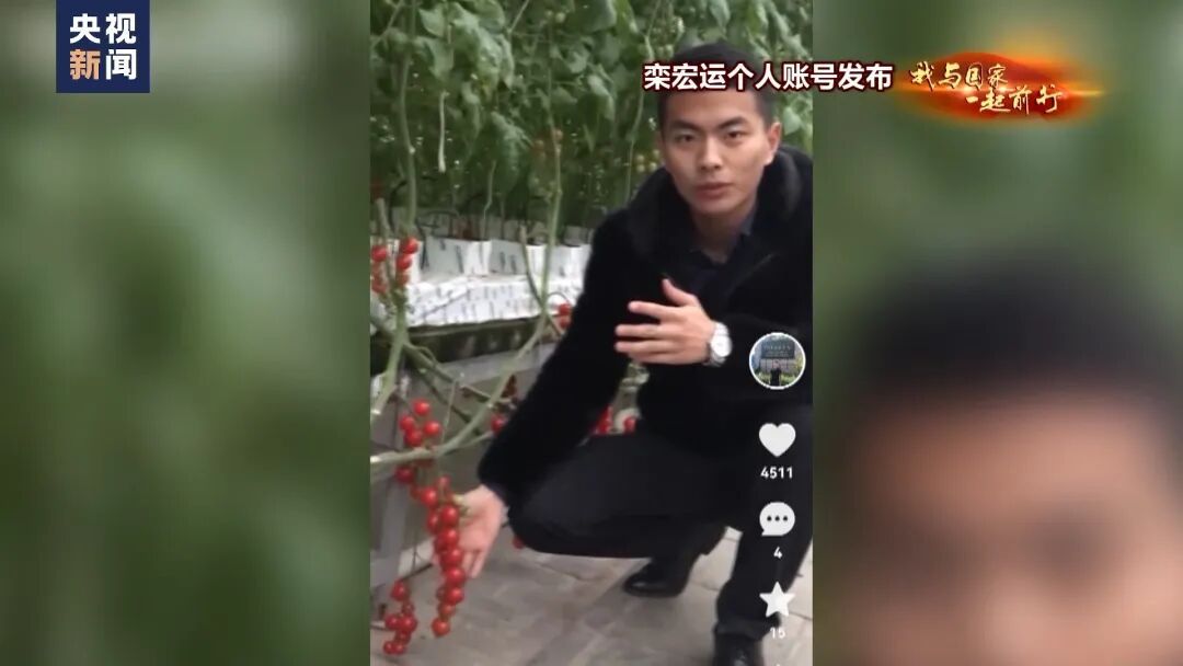 种菜吗？这不就是梦想中的“开心农场”？