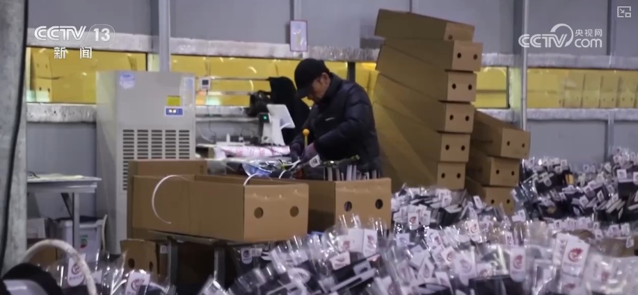 “新意+暖意”催热“年经济”新热力 “新花样”频出点燃消费“热引擎”