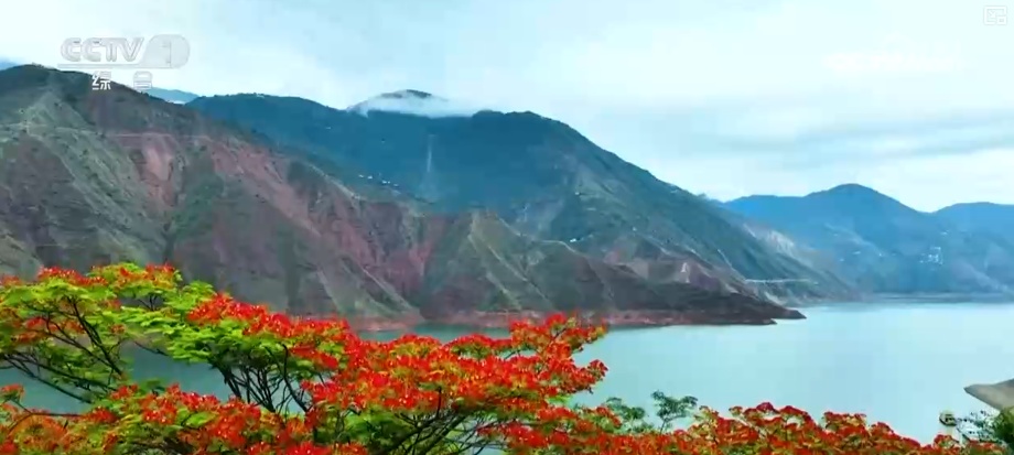 “数”览新答卷·绿色发展主战场带动作用凸显 长江母亲河焕发生机活力