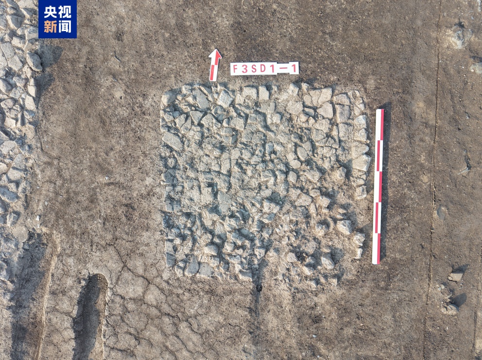 天津十四仓遗址考古取得新发现 更新元代漕仓空间格局认识