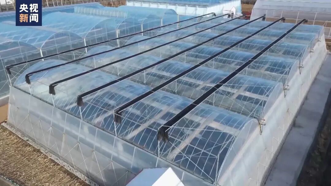 种菜吗？这不就是梦想中的“开心农场”？