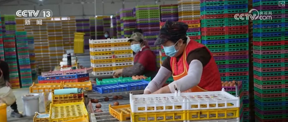 政策“精准滴灌”服务乡村产业振兴 “沉睡资产”变成“活资金”助农增收