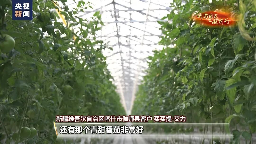 种菜吗？这不就是梦想中的“开心农场”？