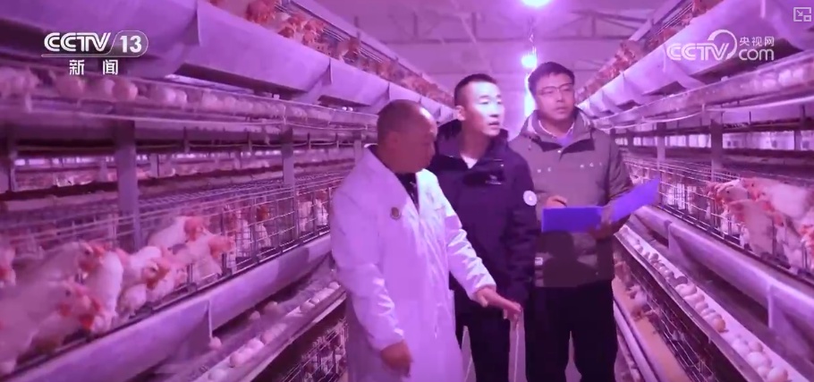 政策“精准滴灌”服务乡村产业振兴 “沉睡资产”变成“活资金”助农增收