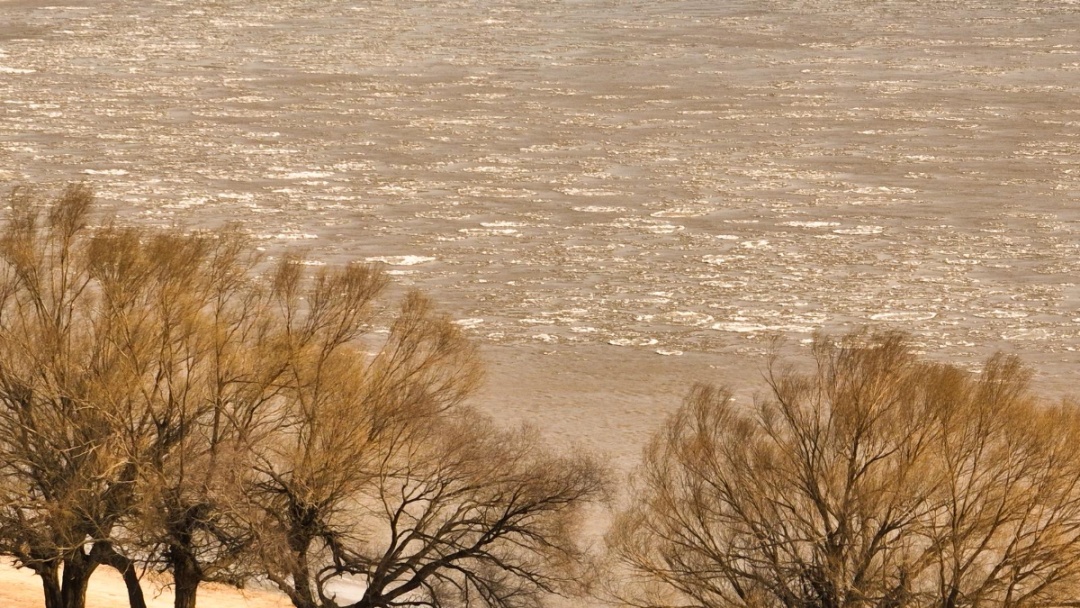 看！黄河宁夏惠农段变身“冰河世纪”&nbsp;