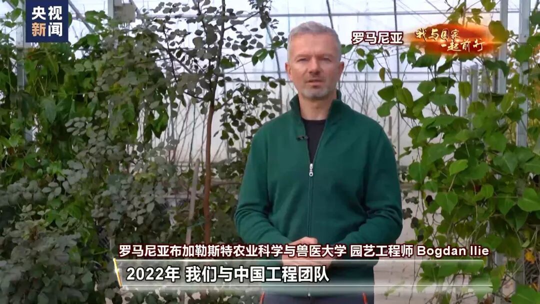 种菜吗？这不就是梦想中的“开心农场”？