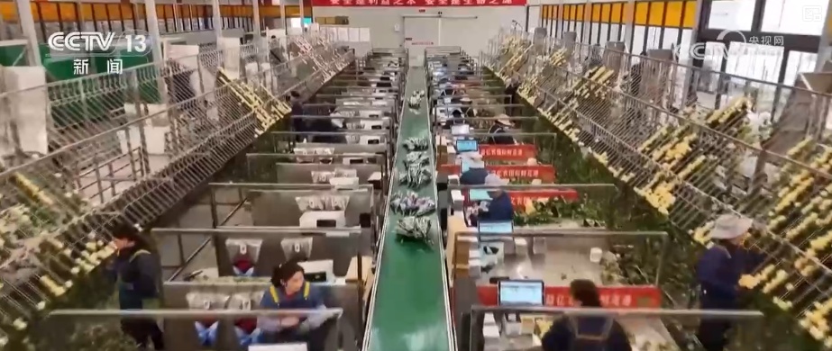 “新意+暖意”催热“年经济”新热力 “新花样”频出点燃消费“热引擎”