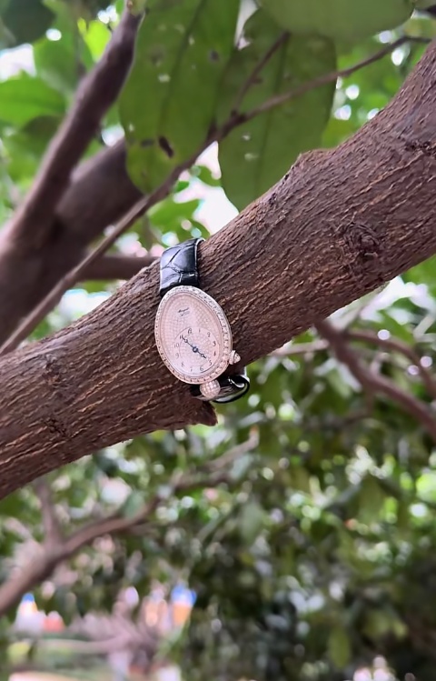 女子丢失30万镶满钻的名表！6天后发现竟被一直挂在树上