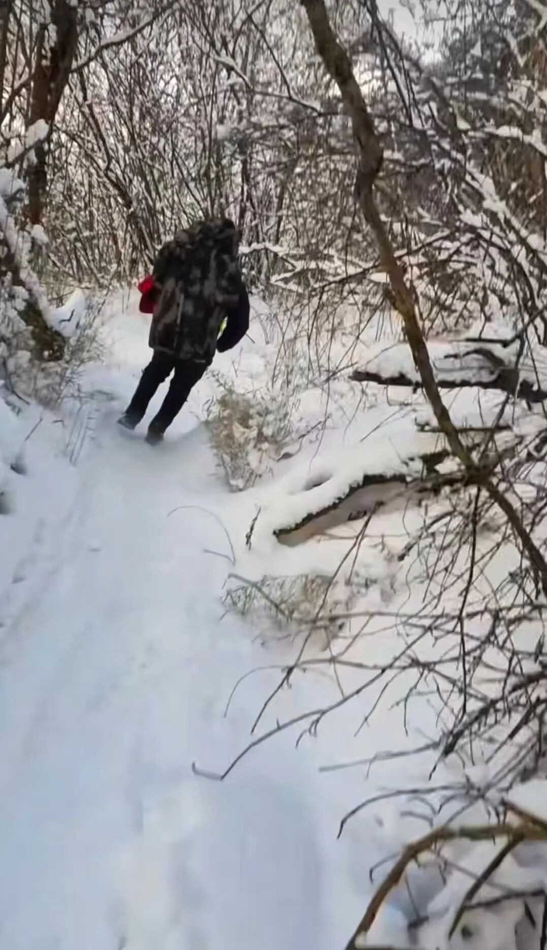 “妹妹半夜跟着出门至今未归……”5人假期出游，2人已遇难，1人坠崖，还在搜救中