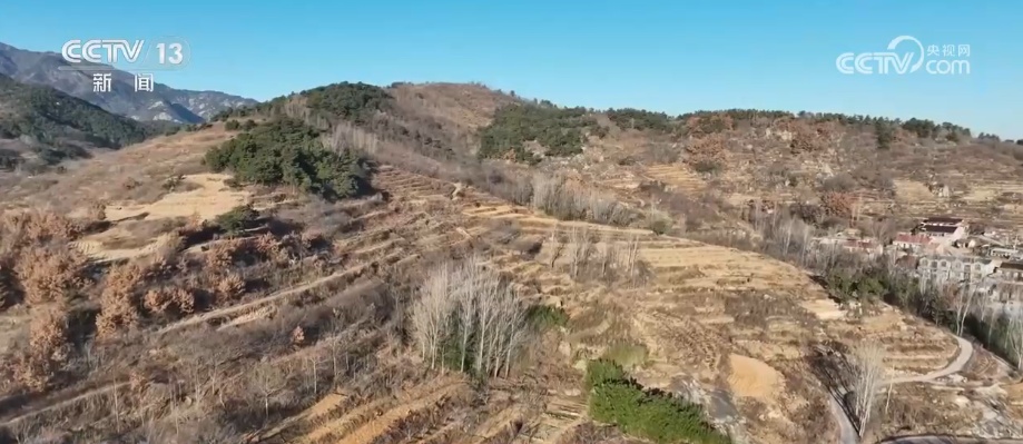 政策“精准滴灌”服务乡村产业振兴 “沉睡资产”变成“活资金”助农增收